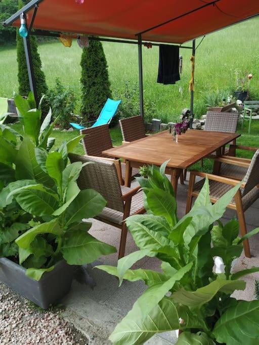 Upcycling Appartement Fischl - Nachhaltig Und Kreativ Wohnen Fuer Gross Und Klein Jenbach Exterior foto